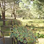 Campo Alle Monache Bed & Breakfast Bucine