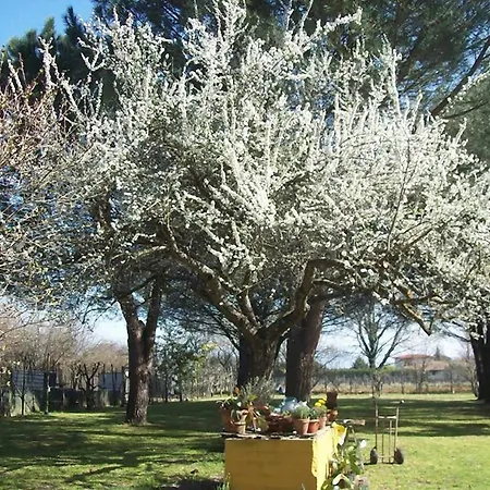 Campo Alle Monache