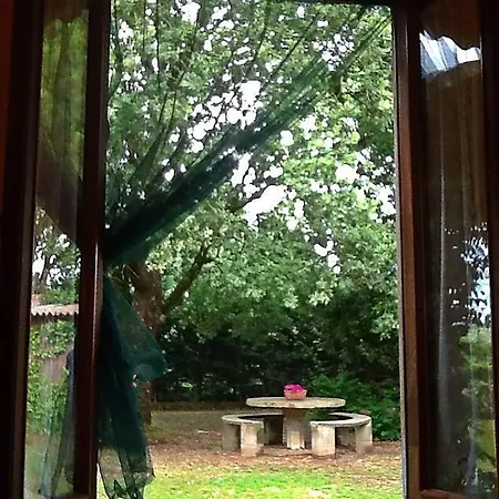 Bed & Breakfast Campo Alle Monache *