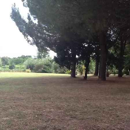 Campo Alle Monache * Bucine