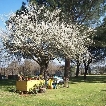 Campo Alle Monache Bed & Breakfast Bucine
