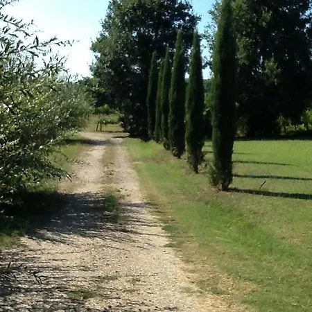 Campo Alle Monache *