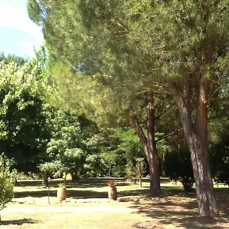 Campo Alle Monache * Bucine