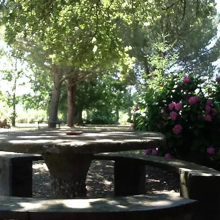 Campo Alle Monache