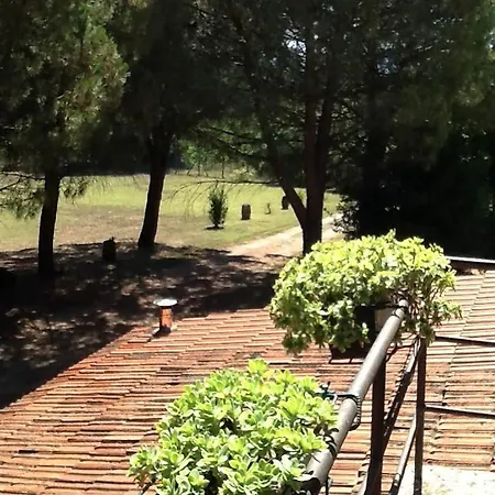 Campo Alle Monache Bucine