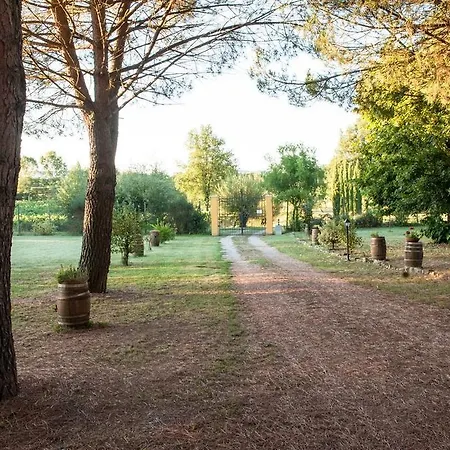 Campo Alle Monache * Bucine
