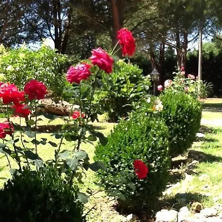 Campo Alle Monache Bed & Breakfast